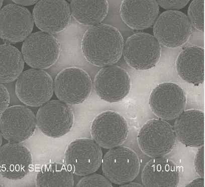 甲苯磺酰基磁珠 供應(yīng)信息 食品科技網(wǎng)