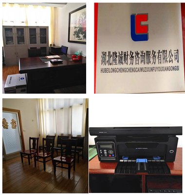 湖北隆誠財務咨詢服務 專業賦能，助力企業穩健發展